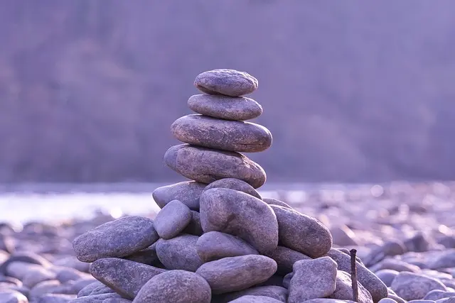 The Ultimate Guide to Outdoor Exercise Gear for Dogs