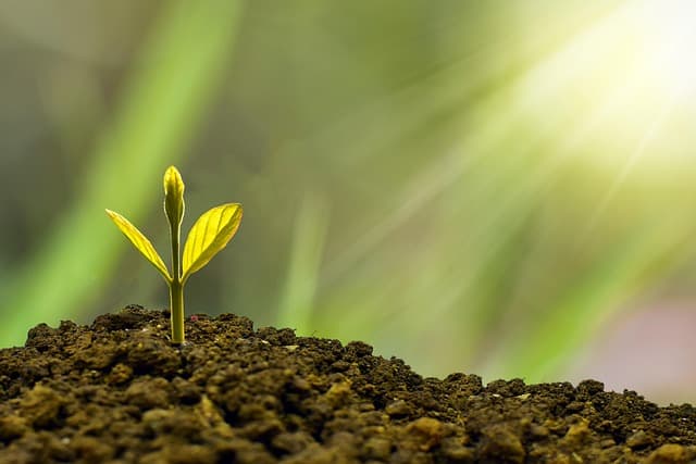Guide complet sur les partenaires financiers pour rachat